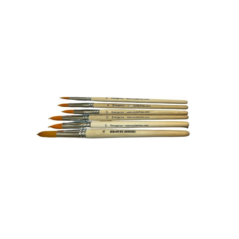 Round brush set - 6 sizes