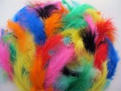 Colored feathers - 100g (approx 2000)