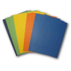 Coloramex evolvecuir - 16 boards in 50x35cm