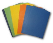 Coloramex evolvecuir - 16 boards in 50x35cm